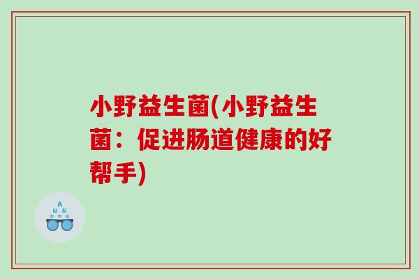 小野益生菌(小野益生菌:促进肠道健康的好帮手) 小野益生菌(小野益生菌:促进肠道健康的好帮手)