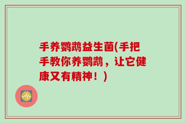 手养鹦鹉益生菌(手把手教你养鹦鹉,让它健康又有精神!) 手养鹦鹉益生菌(手把手教你养鹦鹉,让它健康又有精神!)