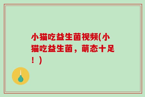 小猫吃益生菌视频(小猫吃益生菌，萌态十足！)