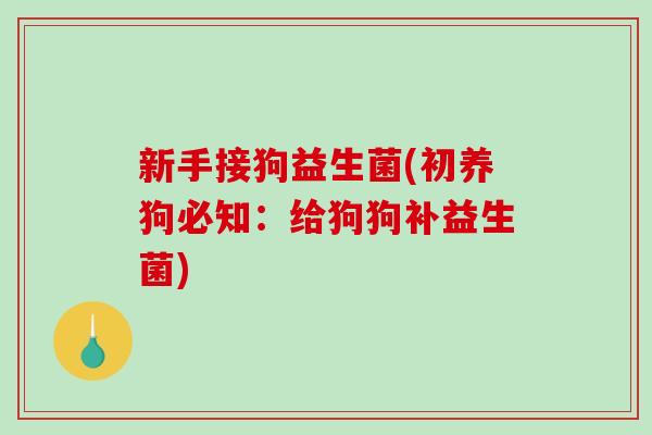 新手接狗益生菌(初养狗必知：给狗狗补益生菌)