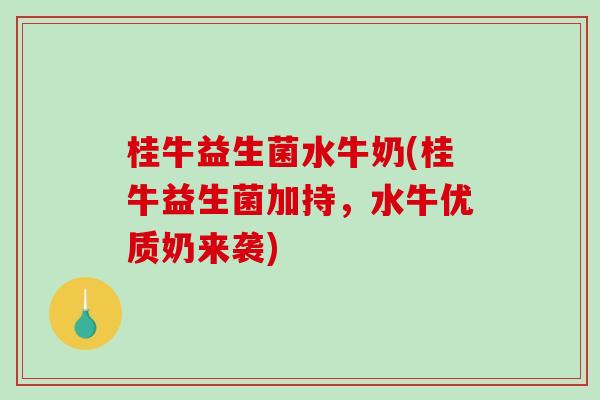 桂牛益生菌水牛奶(桂牛益生菌加持,水牛优质奶来袭) 桂牛益生菌水牛奶(桂牛益生菌加持,水牛优质奶来袭)