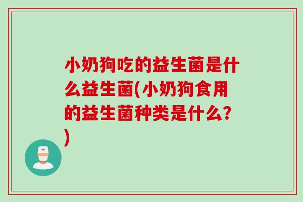 小奶狗吃的益生菌是什么益生菌(小奶狗食用的益生菌种类是什么？)