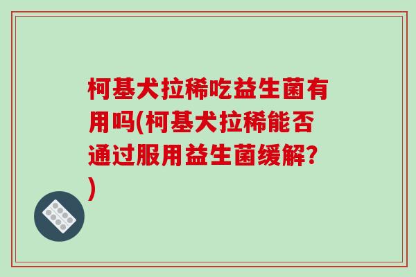 柯基犬拉稀吃益生菌有用吗(柯基犬拉稀能否通过服用益生菌缓解？)