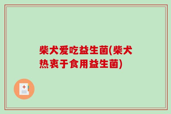 柴犬爱吃益生菌(柴犬热衷于食用益生菌) 柴犬爱吃益生菌(柴犬热衷于食用益生菌)