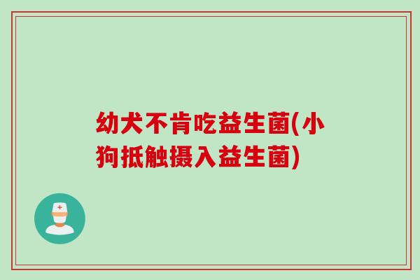 幼犬不肯吃益生菌(小狗抵触摄入益生菌) 幼犬不肯吃益生菌(小狗抵触摄入益生菌)