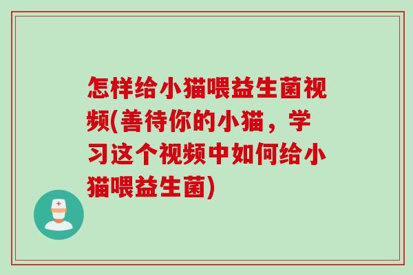 怎样给小猫喂益生菌视频(善待你的小猫，学习这个视频中如何给小猫喂益生菌)