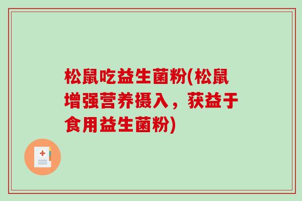 松鼠吃益生菌粉(松鼠增强营养摄入，获益于食用益生菌粉)