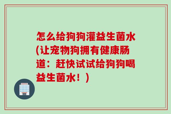 怎么给狗狗灌益生菌水(让宠物狗拥有健康肠道：赶快试试给狗狗喝益生菌水！)