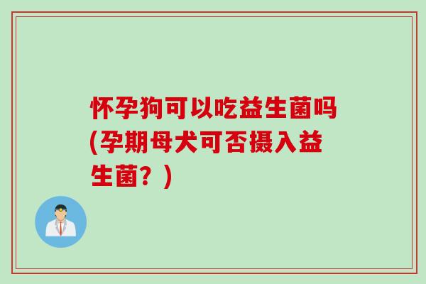 怀孕狗可以吃益生菌吗(孕期母犬可否摄入益生菌？)