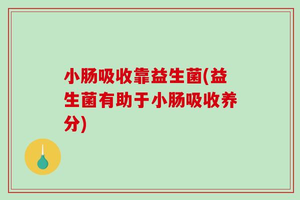 小肠吸收靠益生菌(益生菌有助于小肠吸收养分)