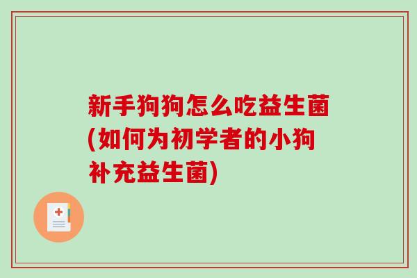 新手狗狗怎么吃益生菌(如何为初学者的小狗补充益生菌)