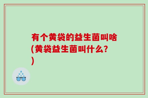 有个黄袋的益生菌叫啥(黄袋益生菌叫什么？)