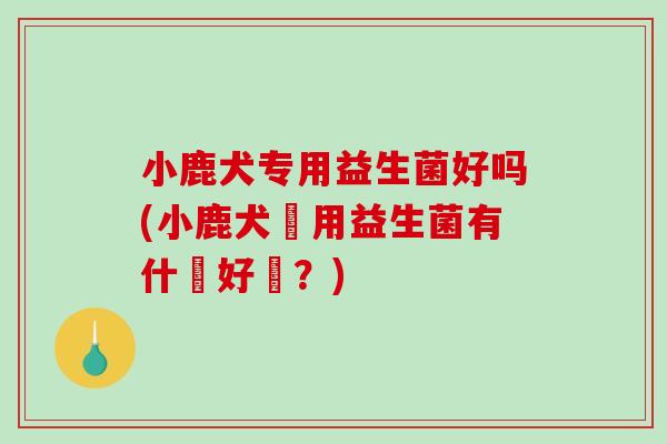 小鹿犬专用益生菌好吗(小鹿犬專用益生菌有什麼好處?) 小鹿犬专用益生菌好吗(小鹿犬專用益生菌有什麼好處?)