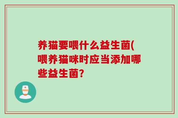 养猫要喂什么益生菌(喂养猫咪时应当添加哪些益生菌？