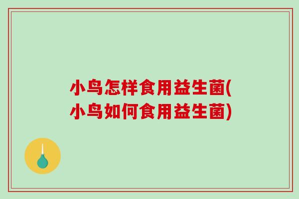 小鸟怎样食用益生菌(小鸟如何食用益生菌)
