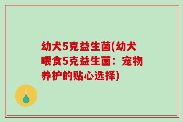 幼犬5克益生菌(幼犬喂食5克益生菌：宠物养护的贴心选择)