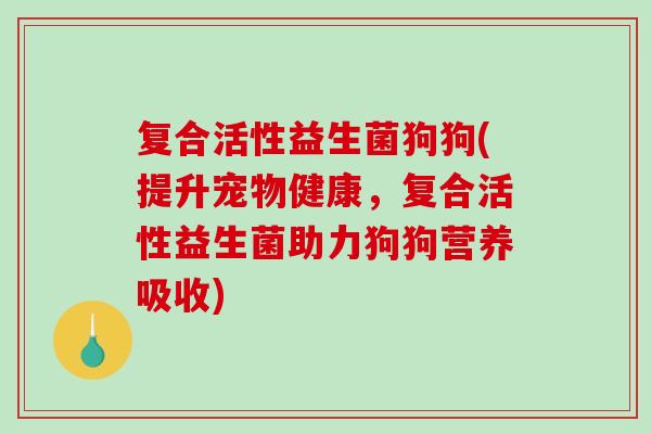复合活性益生菌狗狗(提升宠物健康，复合活性益生菌助力狗狗营养吸收)