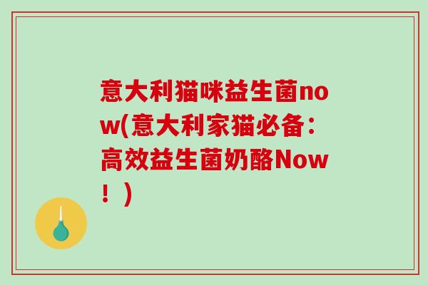 意大利猫咪益生菌now(意大利家猫必备：高效益生菌奶酪Now！)