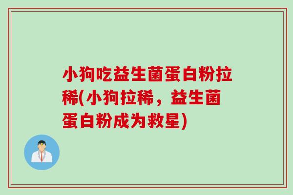 小狗吃益生菌蛋白粉拉稀(小狗拉稀，益生菌蛋白粉成为救星)