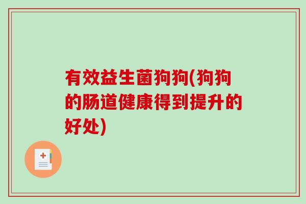 有效益生菌狗狗(狗狗的肠道健康得到提升的好处)