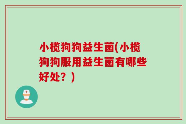 小榄狗狗益生菌(小榄狗狗服用益生菌有哪些好处？)
