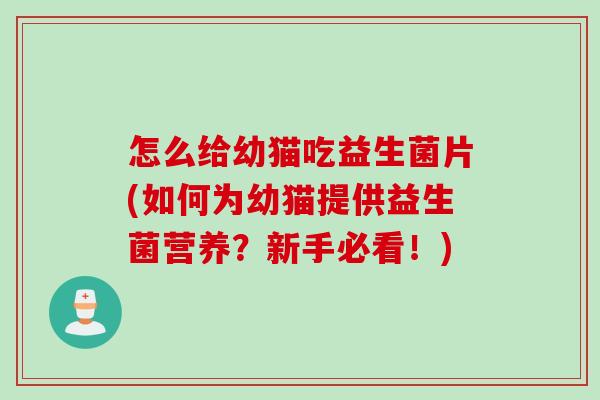 怎么给幼猫吃益生菌片(如何为幼猫提供益生菌营养？新手必看！)