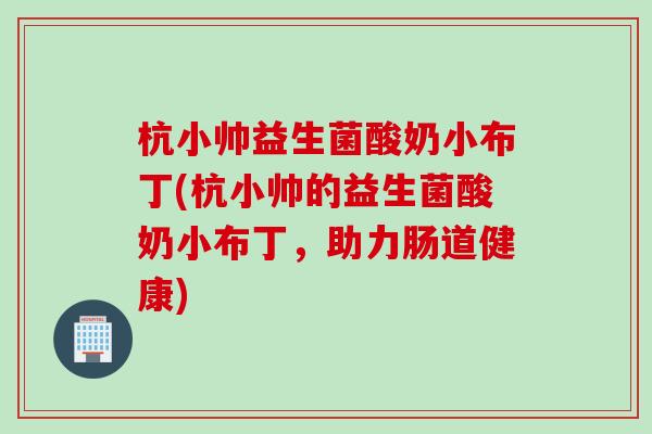 杭小帅益生菌酸奶小布丁(杭小帅的益生菌酸奶小布丁，助力肠道健康)