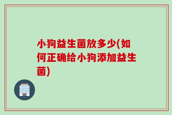 小狗益生菌放多少(如何正确给小狗添加益生菌)