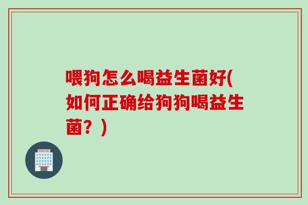 喂狗怎么喝益生菌好(如何正确给狗狗喝益生菌？)