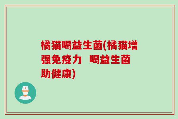 橘猫喝益生菌(橘猫增强力 喝益生菌助健康) 橘猫喝益生菌(橘猫增强力 喝益生菌助健康)