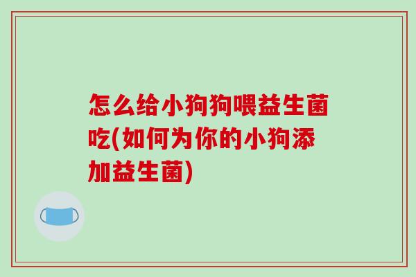 怎么给小狗狗喂益生菌吃(如何为你的小狗添加益生菌)