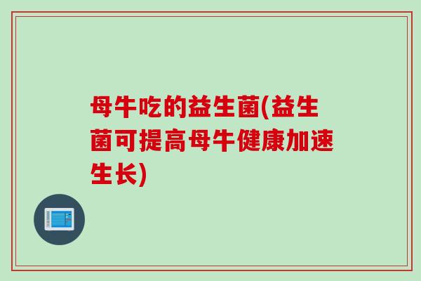 母牛吃的益生菌(益生菌可提高母牛健康加速生长)