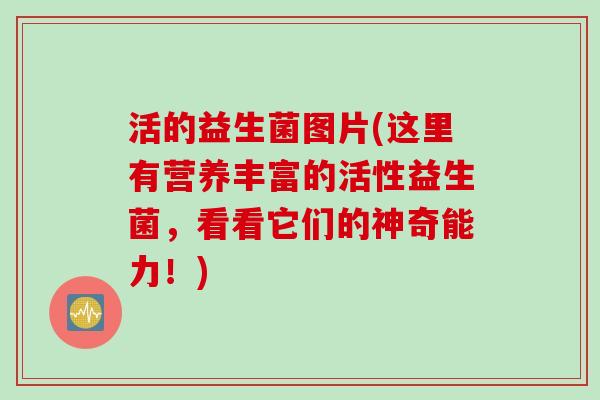 活的益生菌图片(这里有营养丰富的活性益生菌，看看它们的神奇能力！)
