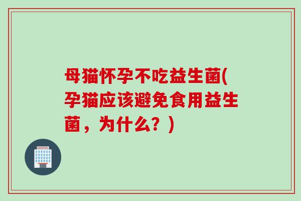 母猫怀孕不吃益生菌(孕猫应该避免食用益生菌,为什么?) 母猫怀孕不吃益生菌(孕猫应该避免食用益生菌,为什么?)