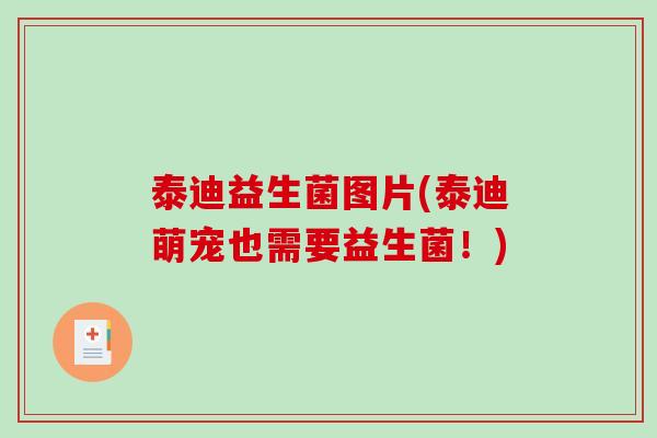泰迪益生菌图片(泰迪萌宠也需要益生菌!) 泰迪益生菌图片(泰迪萌宠也需要益生菌!)