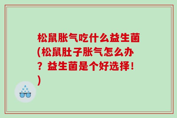 松鼠胀气吃什么益生菌(松鼠肚子胀气怎么办？益生菌是个好选择！)