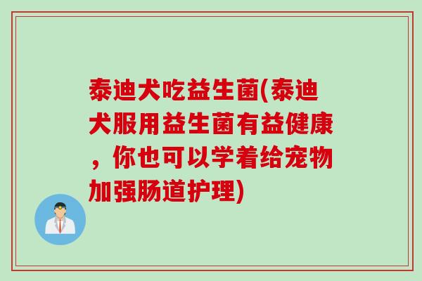 泰迪犬吃益生菌(泰迪犬服用益生菌有益健康,你也可以学着给宠物加强肠道护理) 泰迪犬吃益生菌(泰迪犬服用益生菌有益健康,你也可以学着给宠物加强肠道护理)