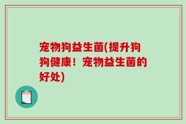 宠物狗益生菌(提升狗狗健康！宠物益生菌的好处)
