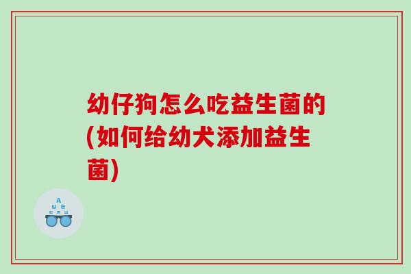 幼仔狗怎么吃益生菌的(如何给幼犬添加益生菌)