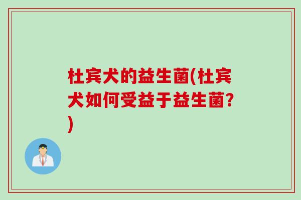 杜宾犬的益生菌(杜宾犬如何受益于益生菌？)
