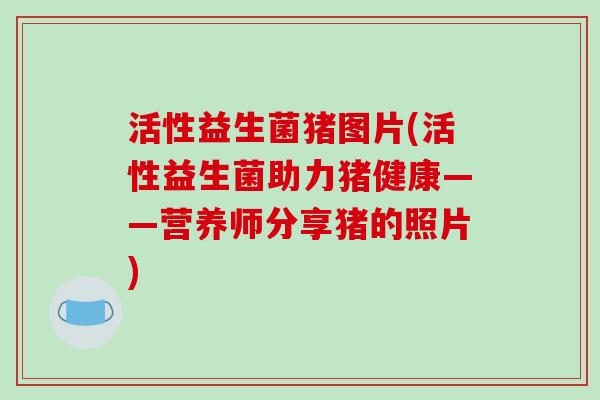活性益生菌猪图片(活性益生菌助力猪健康——营养师分享猪的照片)