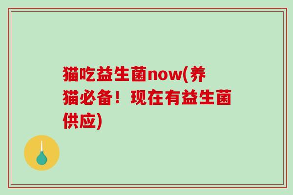 猫吃益生菌now(养猫必备!现在有益生菌供应) 猫吃益生菌now(养猫必备!现在有益生菌供应)