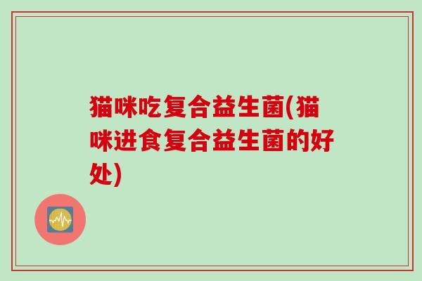 猫咪吃复合益生菌(猫咪进食复合益生菌的好处)