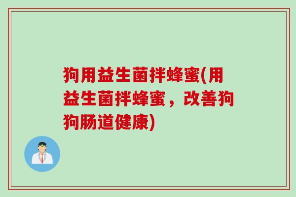 狗用益生菌拌蜂蜜(用益生菌拌蜂蜜，改善狗狗肠道健康)