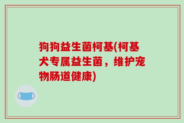 狗狗益生菌柯基(柯基犬专属益生菌，维护宠物肠道健康)