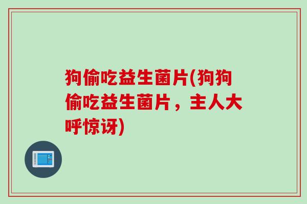 狗偷吃益生菌片(狗狗偷吃益生菌片,主人大呼惊讶) 狗偷吃益生菌片(狗狗偷吃益生菌片,主人大呼惊讶)