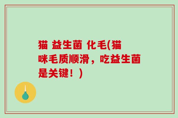 猫 益生菌 化毛(猫咪毛质顺滑，吃益生菌是关键！)