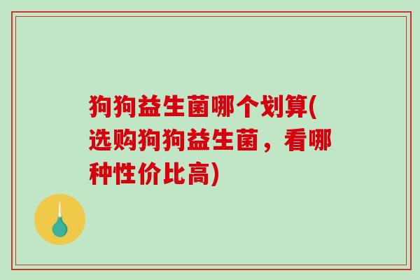 狗狗益生菌哪个划算(选购狗狗益生菌，看哪种性价比高)