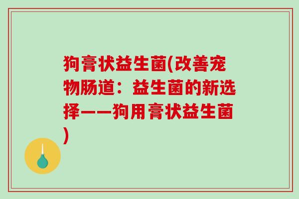 狗膏状益生菌(改善宠物肠道:益生菌的新选择——狗用膏状益生菌) 狗膏状益生菌(改善宠物肠道:益生菌的新选择——狗用膏状益生菌)