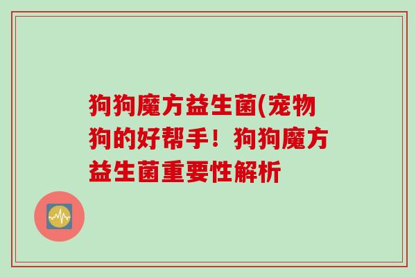狗狗魔方益生菌(宠物狗的好帮手！狗狗魔方益生菌重要性解析